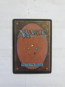 Magic The Gathering MTG Planar Gate Legends 1994 LP Excellent Ungraded - Image 2