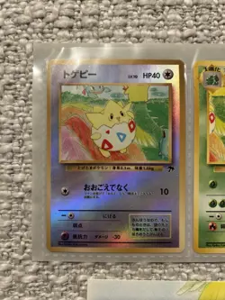 Japanese Pokemon Southern Islands Rainbow Island Riverside Set TOGEPI - Image 4