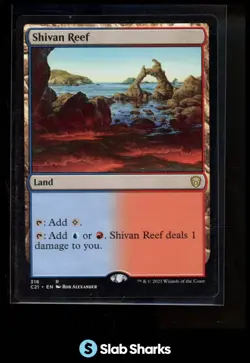 2021 MAGIC THE GATHERING #316 SHIVAN REEF - Image 1
