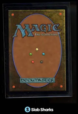 2021 MAGIC THE GATHERING #316 SHIVAN REEF - Image 2