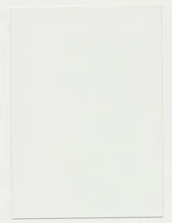 MTG Artist Proof Beta Plains Signed Jespor Myrfors - Image 2