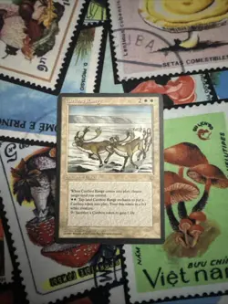 Caribou Range Ice Age Regular - Image 2