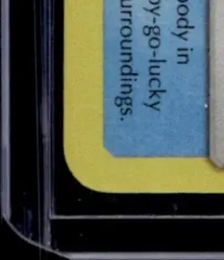 2019 POKEMON SM HIDDEN FATES #SV11/SV94 FROAKIE SHINY VAULT RARE - Image 4