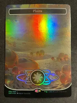 MTG Plains (Borderless), NM-Mint, (UNF #235/244) Foil - Image 1