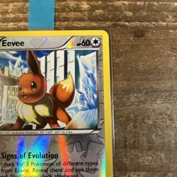 Eevee (Reverse Holo) 90/116 Plasma Freeze (2013) Pokemon TCG - NM - Image 4