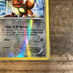 Eevee (Reverse Holo) 90/116 Plasma Freeze (2013) Pokemon TCG - NM - Image 5