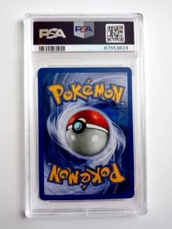 2002 Pokemon E-Series EXPEDITION CYNDAQUIL #104/165 Reverse Foil PSA 10 Gem Mint - Image 2