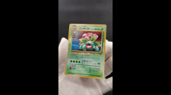 2 Set Venusaur Dragonite GB Game Boy Promo Holo Japanese Pokemon Card #12 - Image 2