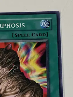 Yu-Gi-Oh! Metamorphosis DR1-EN038 Common Mint Never Played - Image 4