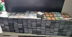MTG Magic The Gathering Shards of Alara Common Cards - **BUY 2 GET 2 FREE** - Image 1