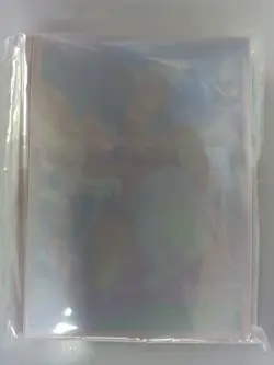 Pokemon TCG Charizard V Card Sleeves Asia Exclusive Deck Shield - Image 2