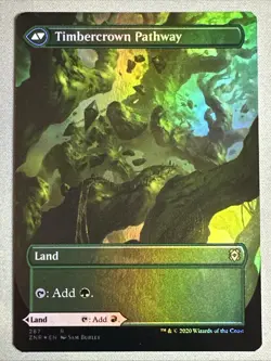 MTG / Cragcrown Pathway / ZNR / #287 / FOIL (Borderless) / Rare / NM - Image 2