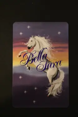 Bella Sara Trading Card - Northern Lights - Foil S10/17 Jonas - Image 2