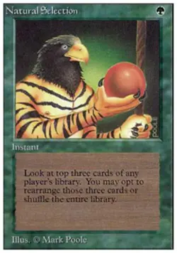 MTG English Natural Selection Light Play Normal Unlimited - Image 1