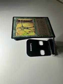 Gaea’s Touch The Dark LP MTG Uncommon Magic the Gathering - Image 5