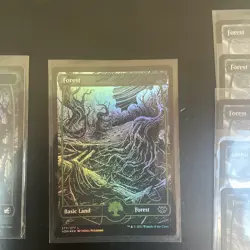 MTG Forest Foil and Basic Land 10 Card Lot. NM and Unplayed! (Vow) & (Mid) - Image 3