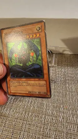 🔥YUGIOH MAHA VAILO MRL-012 HOLO 1ST EDITION NEVER PLAYED SPELLCASTER/EFFECT🔥 - Image 2