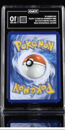 Pokemon Bulbasaur # 143/142 Stellar Crown Illustration Rare Tag 9 Mint - Image 3