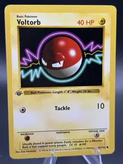 Pokemon Card: 1st Edition Shadowless: Voltorb 67/102 - Image 1