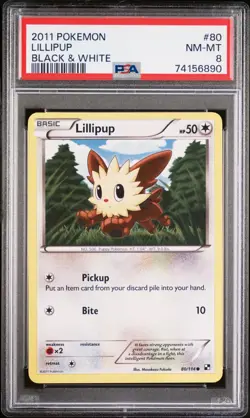 Pokemon TCG Lillipup Black & White 80/114 Common PSA 8 NM-MT - Image 1