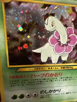 1996 Pokemon TCG Neo Genesis Japanese Meganium No. 154 Holo Rare Old Back (P27) - Image 3