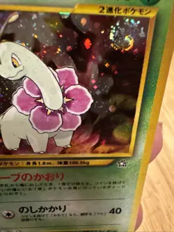 1996 Pokemon TCG Neo Genesis Japanese Meganium No. 154 Holo Rare Old Back (P27) - Image 4
