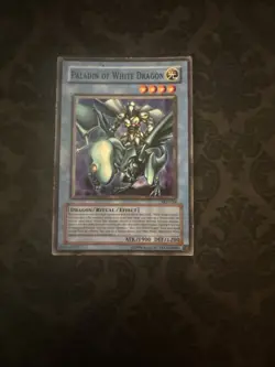 Common Paladin of White Dragon SKE-024 - Image 1