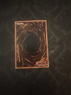 Common Paladin of White Dragon SKE-024 - Image 2