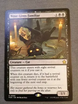 Nine-Lives Familiar Foundations Regular NM R 0066 - Image 1