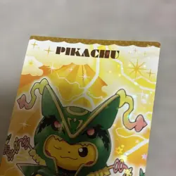 Pokemon Card Japanese Pikachu Mega Rayquaza Poncho Business Card - Image 5