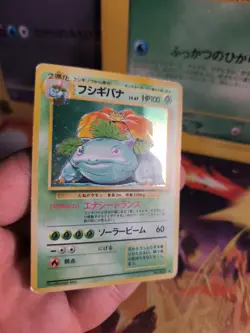 Pokemon Karte Card Bisaflor Venusaur Base Expansion Set Holo Wotc japanese PL - Image 4