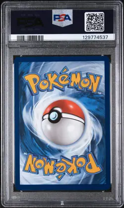 2025 Pokemon SVP EN Illustration Contest 2024 #213 Feraligatr PSA 10 GEM MINT - Image 2