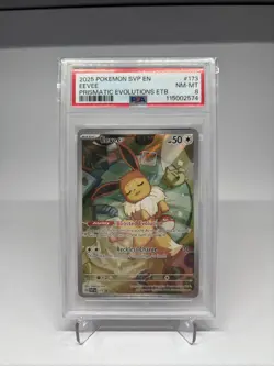 Pokemon TCG PSA Grade 8 Eevee #173 SVP EN Pokemon Promo - Image 1