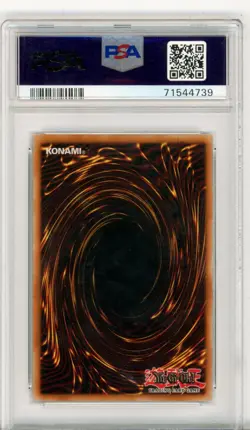 PSA Wayne Grayson Yu-Gi-Oh! Red-Eyes B. Dragon SDJ-001 Starter Deck 1st Edition - Image 2