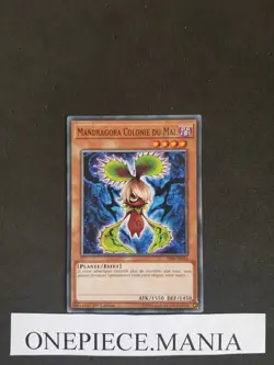 Yu-Gi-Oh! Mandragora Colonie du Mal (Plante) : YS18-FR016 -VF/Commune - Image 1