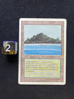Tropical Island - Revised Edition - Dual Land - Vintage MTG -MP - 1994 - Image 1