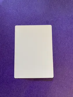 MTG Magic Snow-Covered Plains Signed Artist Proof Modern Horizons Titus Lunter - Image 2