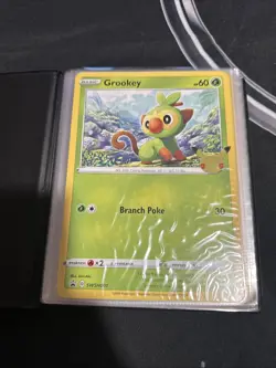 Pokemon First Partner 25th Anniversary Jumbo Binder COMPLETE Set Of 24 + Promos - Image 2