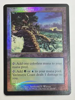 MTG YAVIMAYA COAST (FOIL) Apocalypse (OldManMTG 003-211) - Image 1