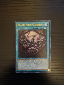 Yugioh Doom of Dimensions - Black Rose Garden - Ultra Rare - DOOD-EN055 - Image 1
