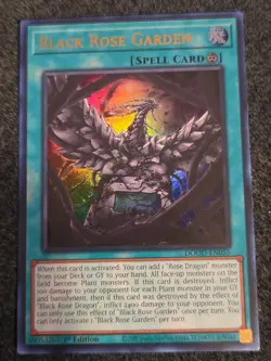 Yugioh! - Black Rose Garden - DOOD-EN055 - Ultra Rare - 1st Ed. - NM/M - Image 1