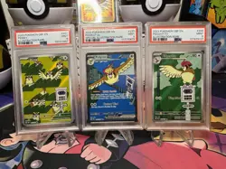 Pokemon Pidgey 207 Pidgeotto 208 Pidgeot 225 PSA 9 Obsidian Flames SIR - Image 1