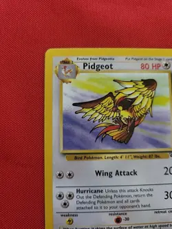 Pokemon: Pidgeot #24/64 Non Holo Rare Jungle 1999 Vintage WOTC - LP/MP - I57 - Image 4