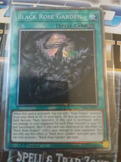 Yu-Gi-Oh Black Rose Garden Dood-en055 Doom of Dimensions Starlight Rare - Image 1