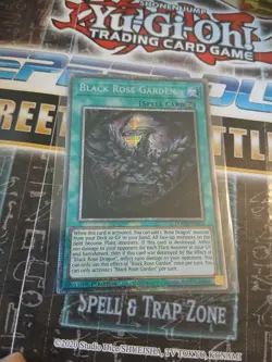 Yu-Gi-Oh Black Rose Garden Dood-en055 Doom of Dimensions Starlight Rare - Image 2
