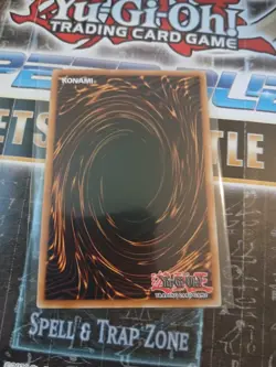 Yu-Gi-Oh Black Rose Garden Dood-en055 Doom of Dimensions Starlight Rare - Image 3