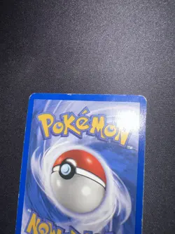 Pokemon TCG Dark Gyarados (Prerelease) 08/82 Wotc Promo Holo - Image 4