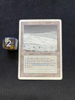 Tundra - Revised Edition - Dual Land - Vintage MTG - MP - 1994 - Image 1