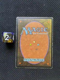 Bayou - Revised Edition - Dual Land - Vintage MTG - MP - 1994 - Image 2