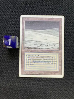Tundra - Revised Edition - Dual Land - Vintage MTG - MP - 1994 - Image 1